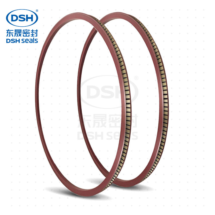 耐低溫彈簧蓄能密封圈泛塞封